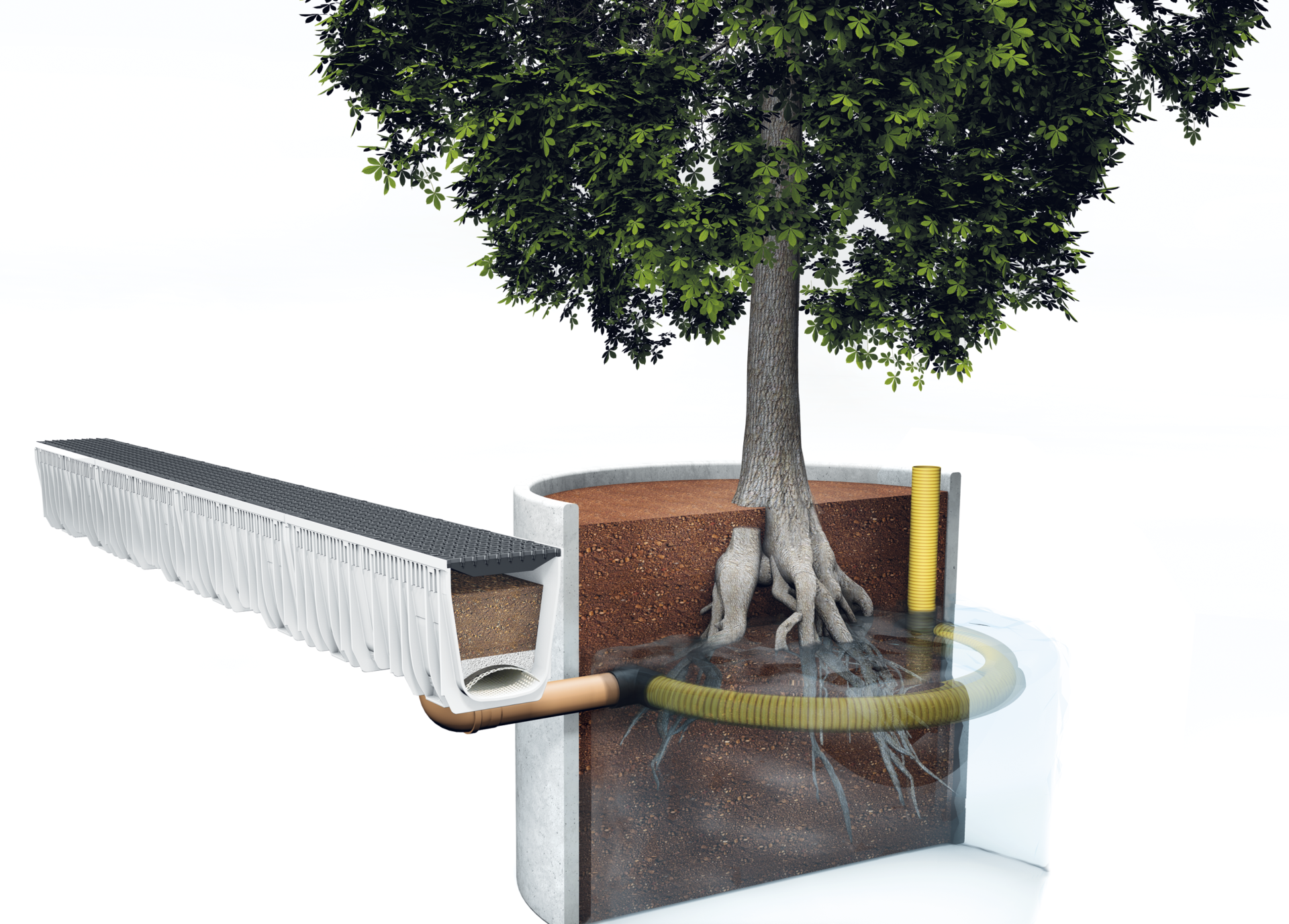 sustainable-tree-irrigation